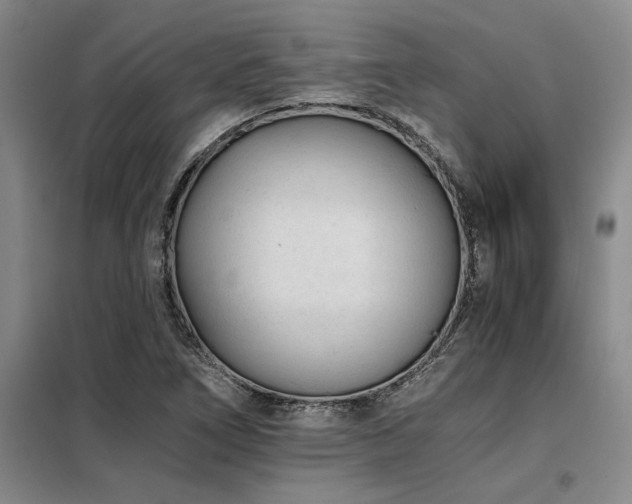 X0000098141266200804171538