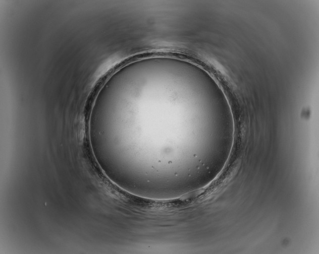 X0000098141267200804171538