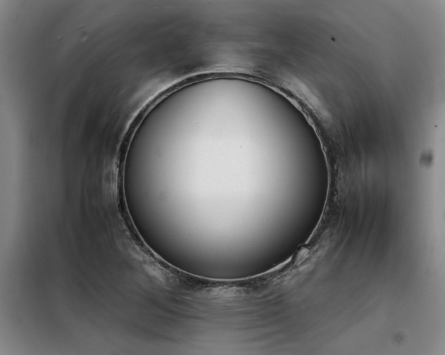 X0000098141268200804171538
