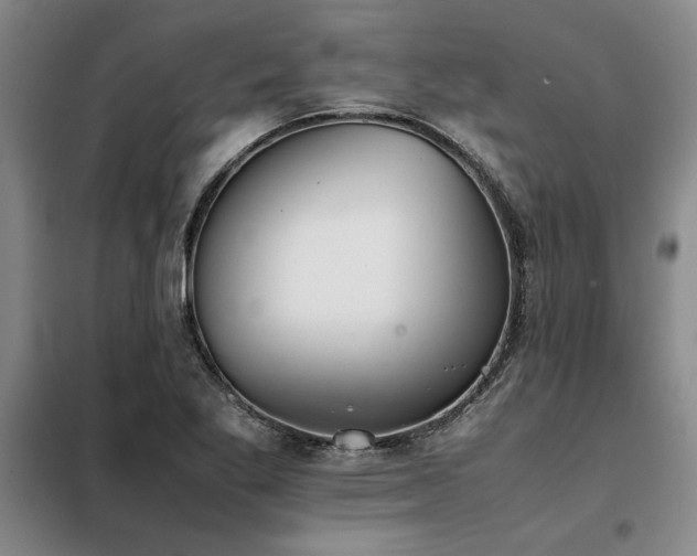 X0000098141269200804171538