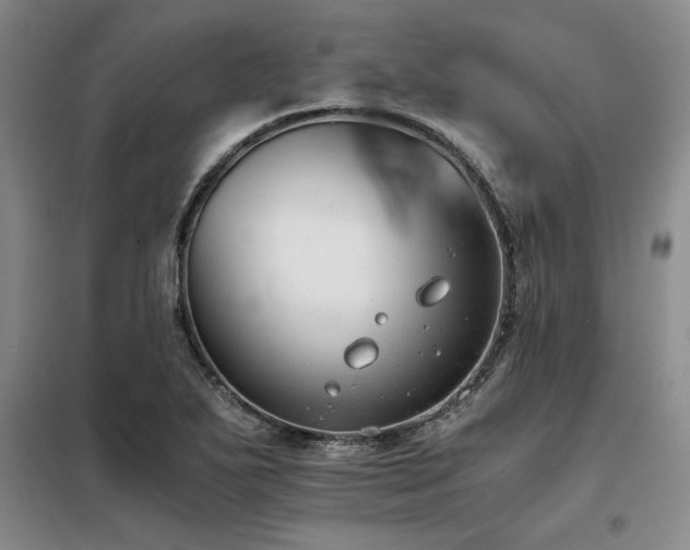 X0000098141271200804171538