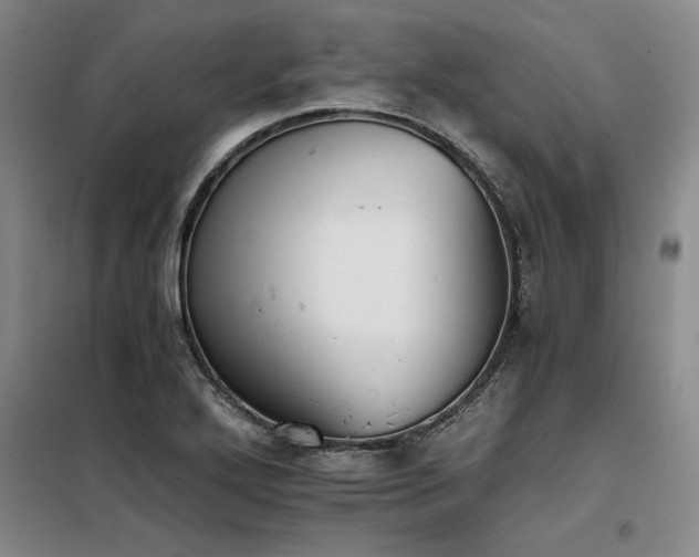 X0000098141272200804171538