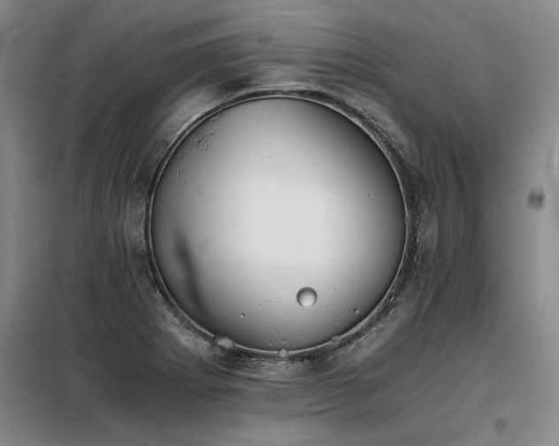 X0000098141273200804171538