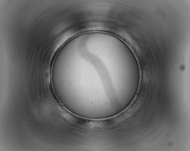X0000098141274200804171538