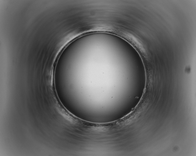 X0000098141276200804171538