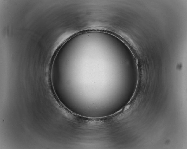 X0000098141277200804171538