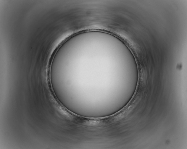 X0000098141278200804171538