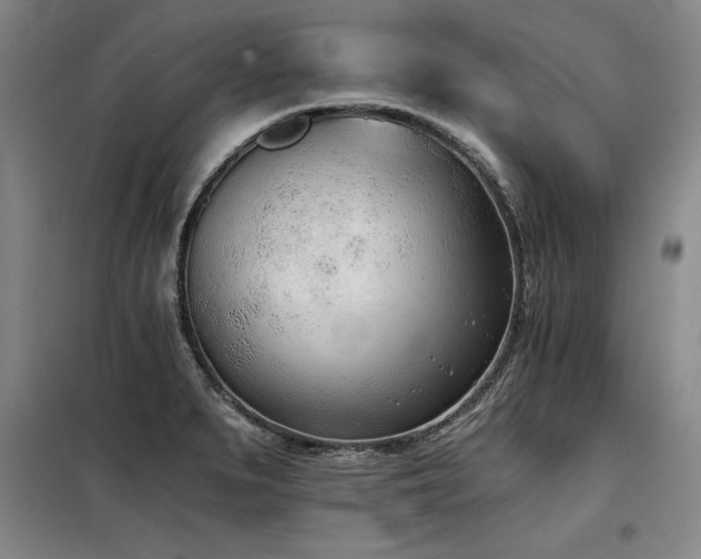 X0000098141279200804171538