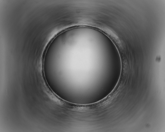 X0000098141280200804171538