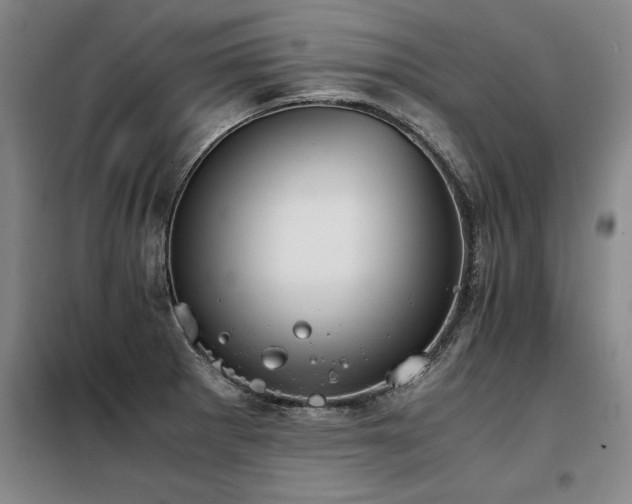 X0000098141281200804171538
