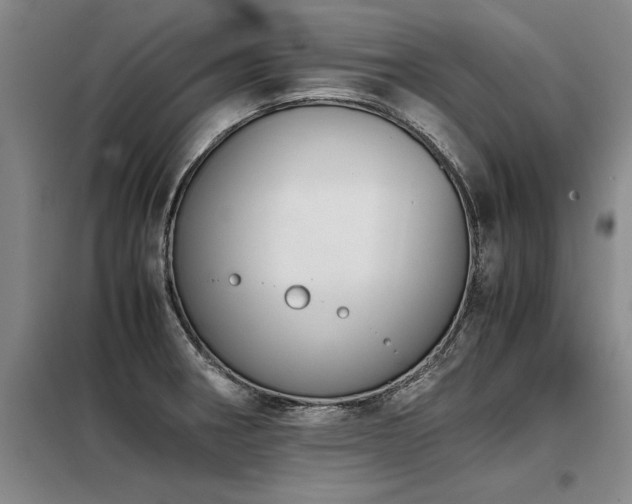 X0000098141282200804171538