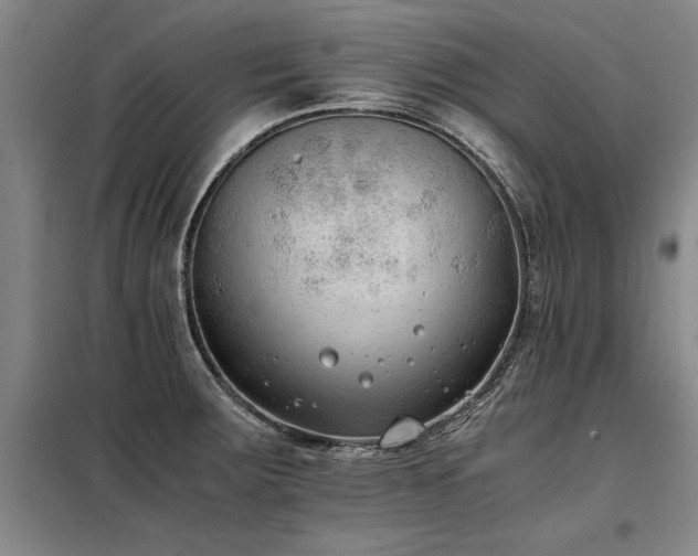X0000098141283200804171538