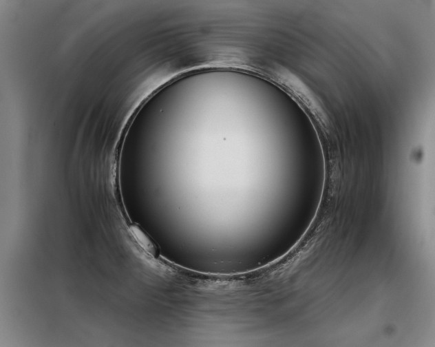 X0000098141284200804171538