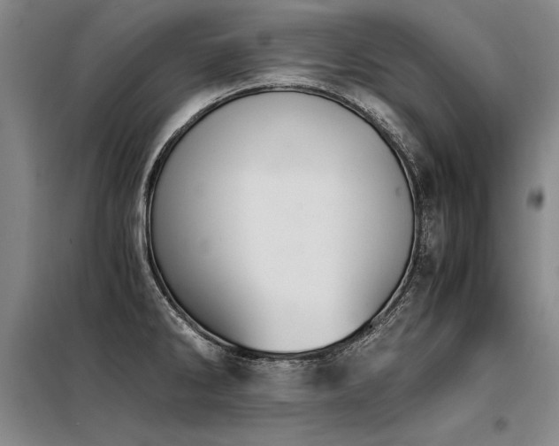 X0000098141286200804171538