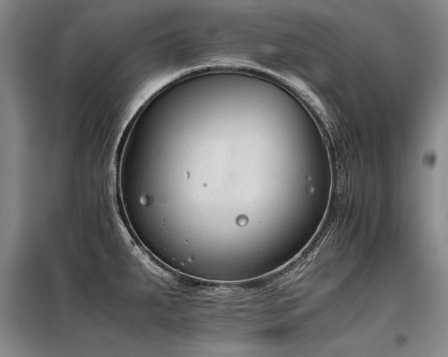 X0000098141287200804171538