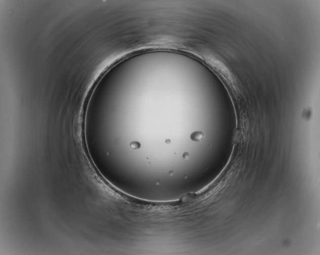 X0000098141288200804171538