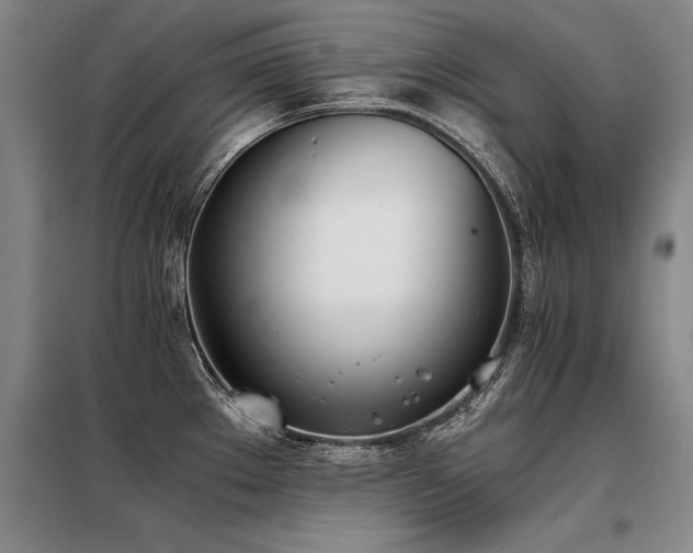 X0000098141289200804171538