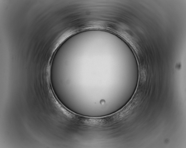 X0000098141290200804171538