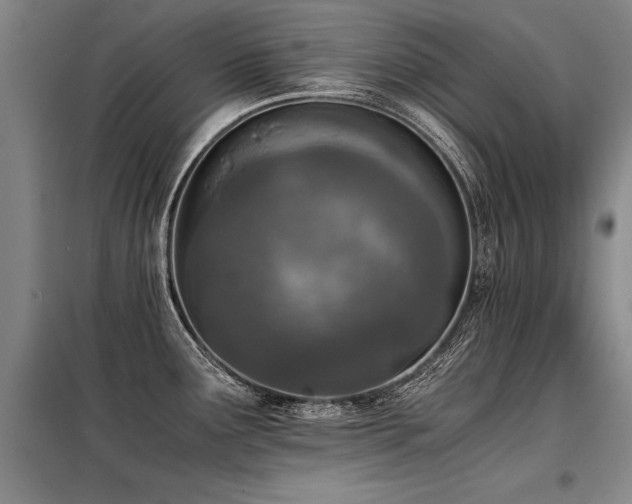 X0000098141291200804171538