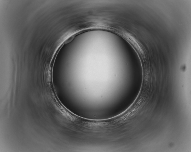 X0000098141292200804171538