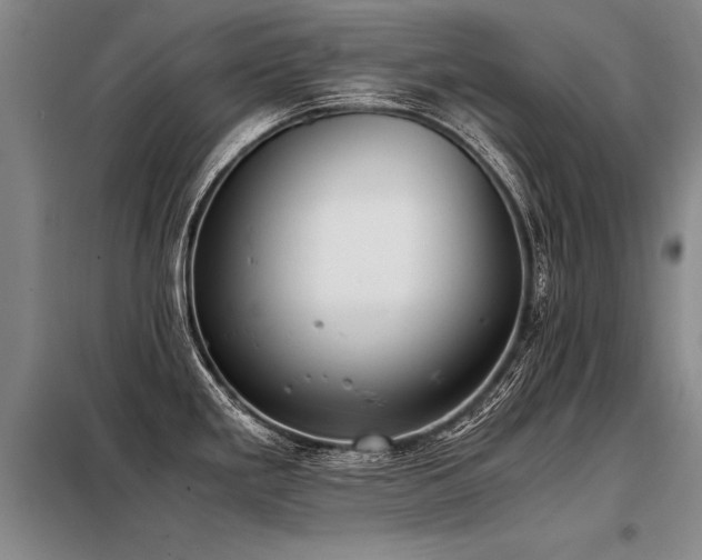 X0000098141293200804171538