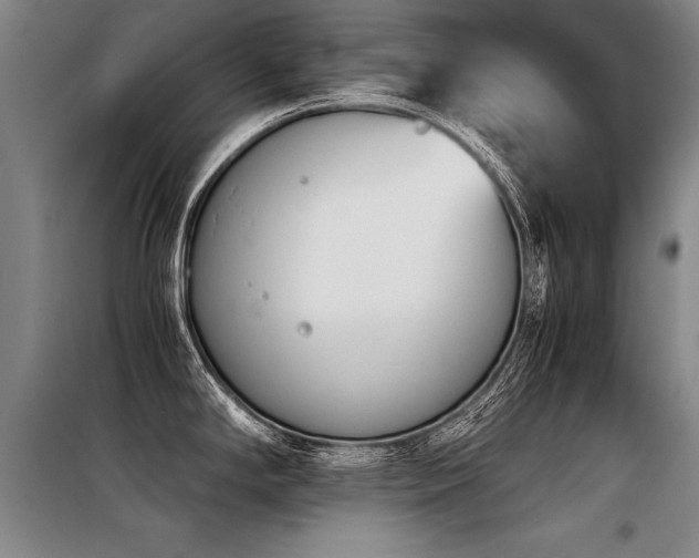 X0000098141294200804171538