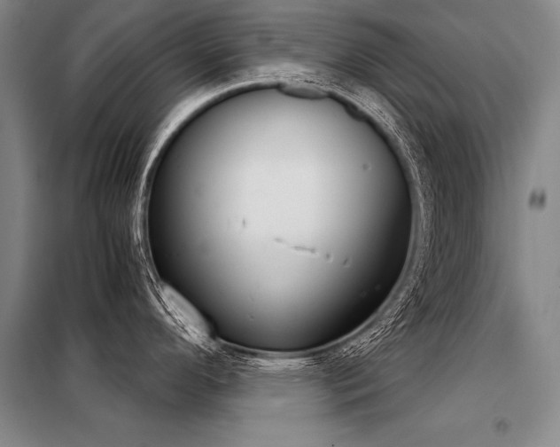 X0000098141296200804171538