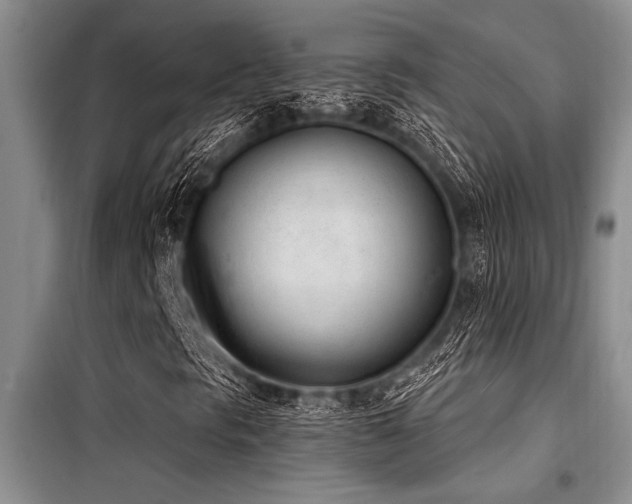 X0000098141297200804171537