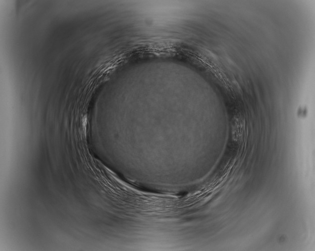 X0000098141298200804171537