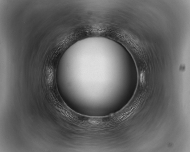 X0000098141299200804171537