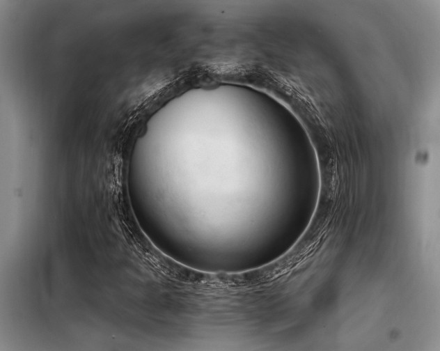 X0000098141301200804171537
