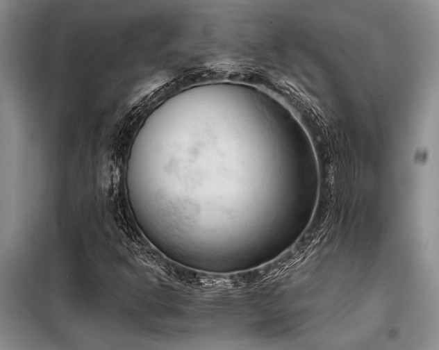X0000098141302200804171537