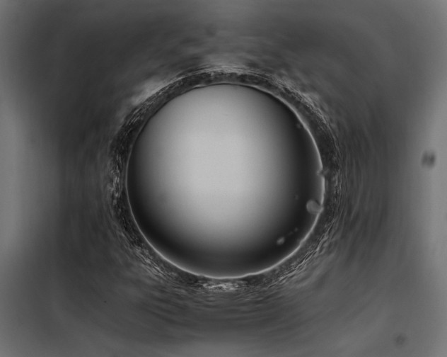 X0000098141303200804171537