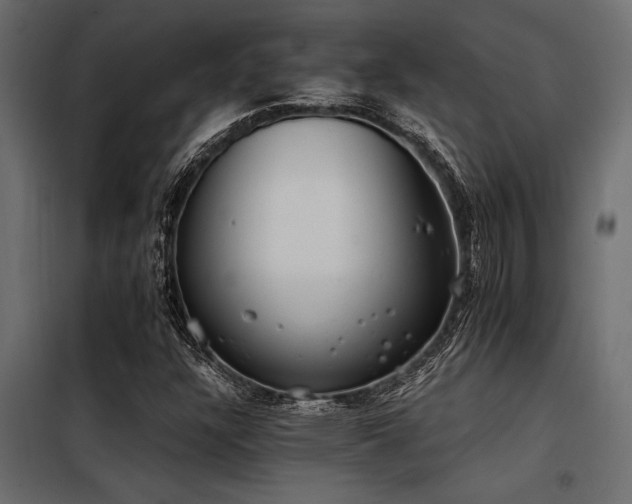 X0000098141304200804171537