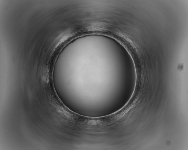 X0000098141306200804171537
