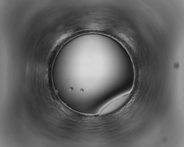 X0000098141307200804171537