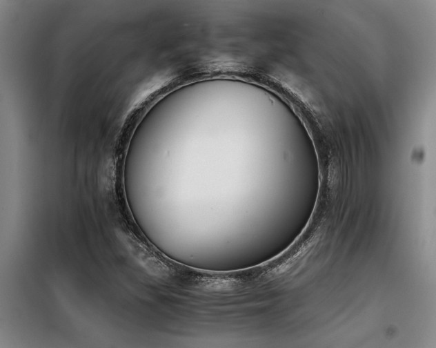 X0000098141309200804171537
