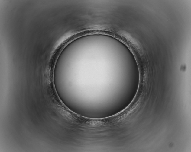 X0000098141310200804171537