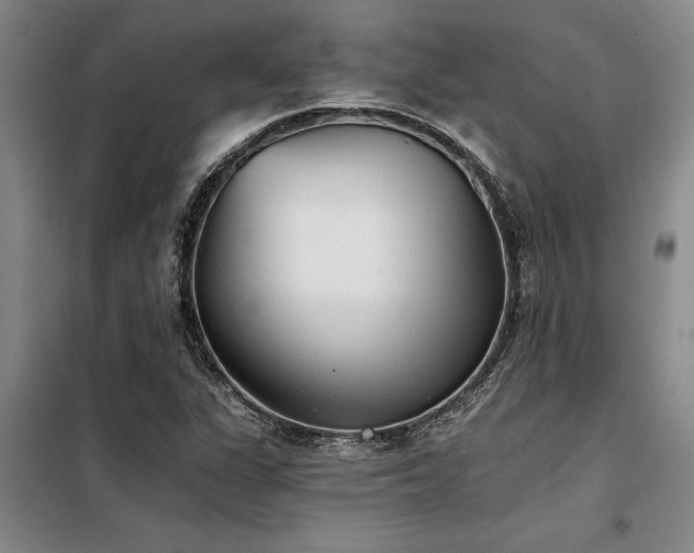 X0000098141311200804171537