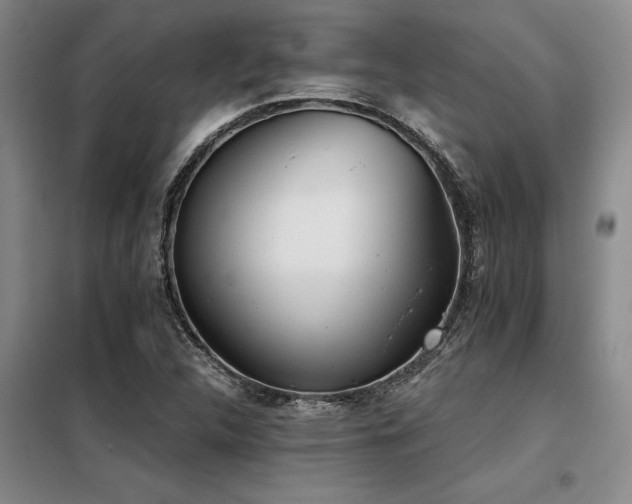 X0000098141312200804171537
