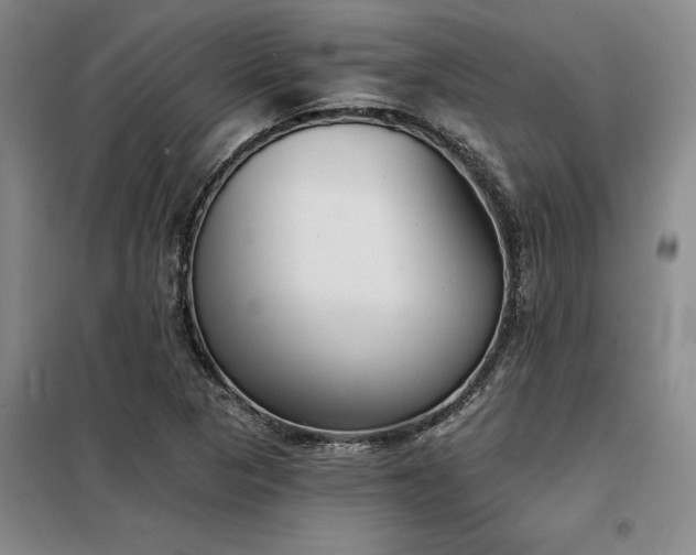X0000098141313200804171537