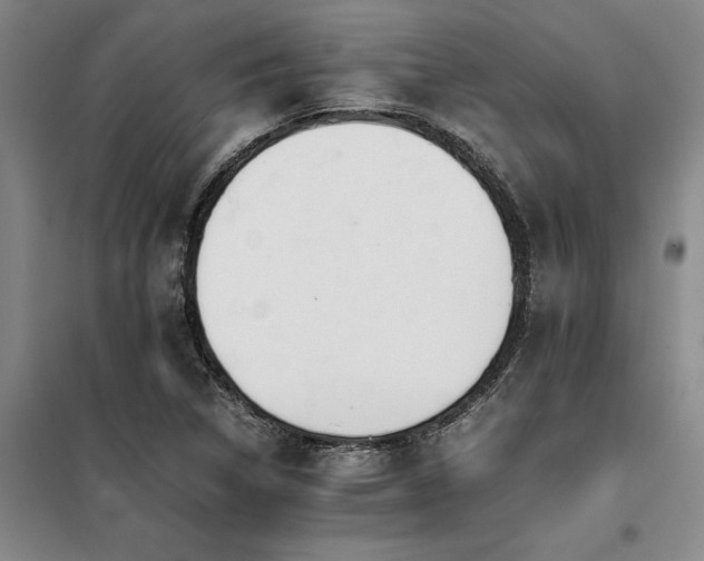 X0000098141314200804171537
