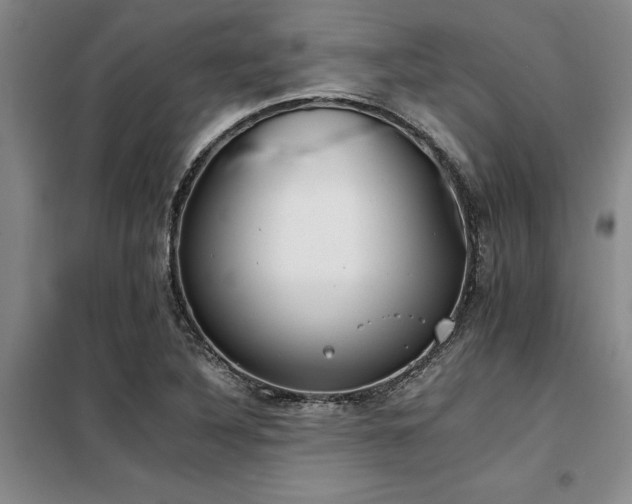 X0000098141316200804171537