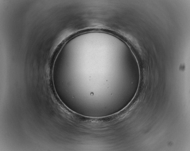 X0000098141318200804171537