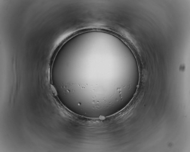 X0000098141320200804171537