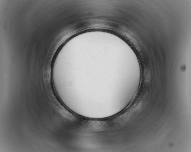 X0000098141322200804171537