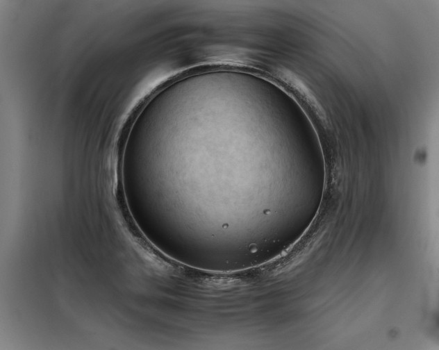 X0000098141323200804171537