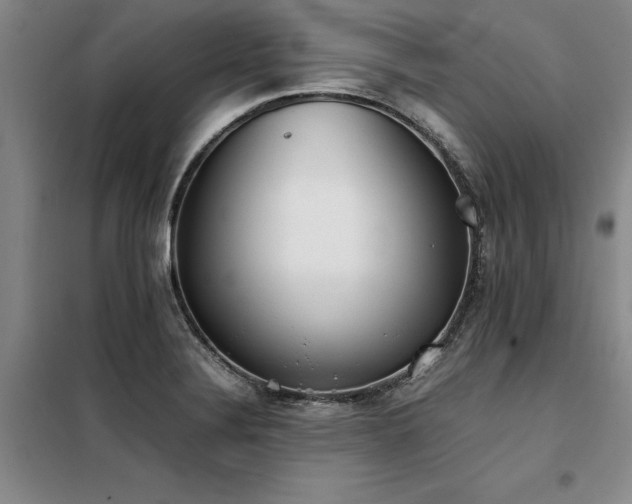 X0000098141324200804171538