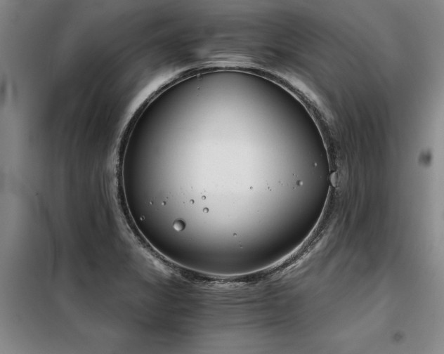 X0000098141325200804171538