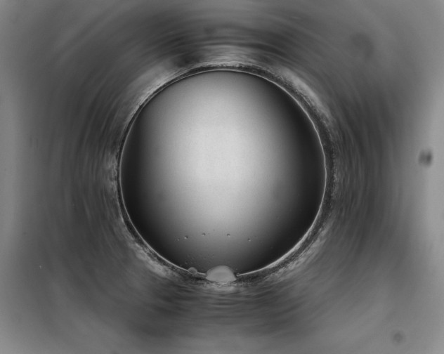X0000098141329200804171538